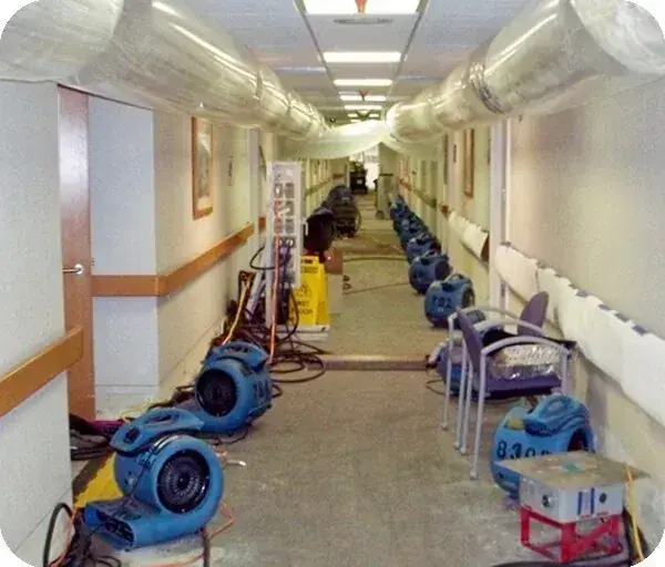 Rows of air movers drying a long commercial corridor after water damage
