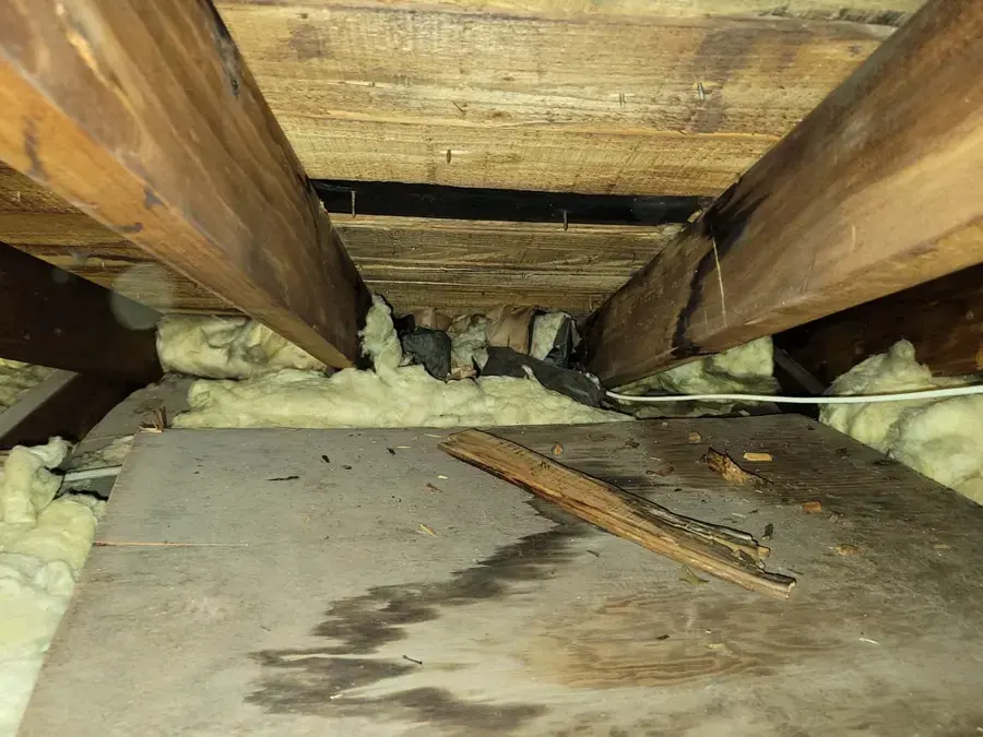 Water stains on attic decking and insulation from a roof leak